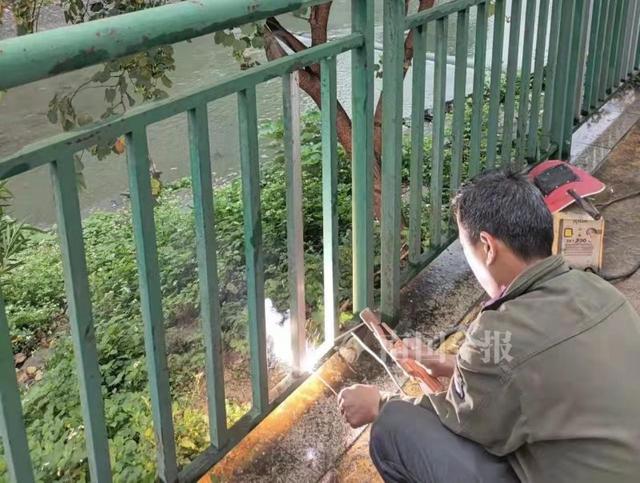 護欄網價格 護欄網價格